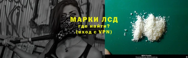 ГАЛЛЮЦИНОГЕННЫЕ ГРИБЫ Аркадак