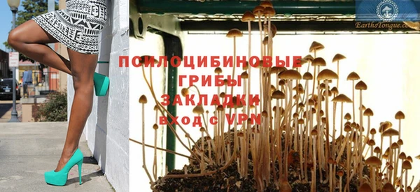 прущая мука Алзамай